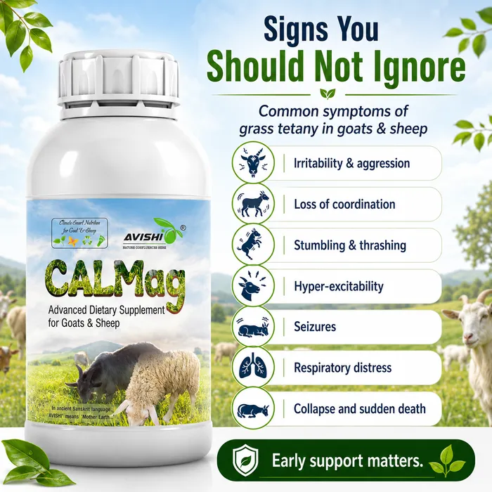 Avishi CalMag (Goat & Sheep) Clinical Information