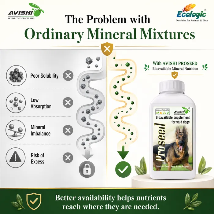 Avishi Proseed (Canine) Clinical Information