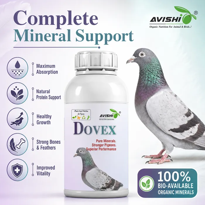 Avishi Dovex Clinical Information