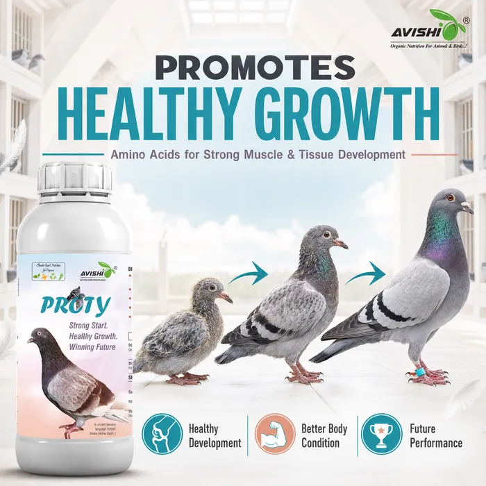 Avishi Proty Clinical Information