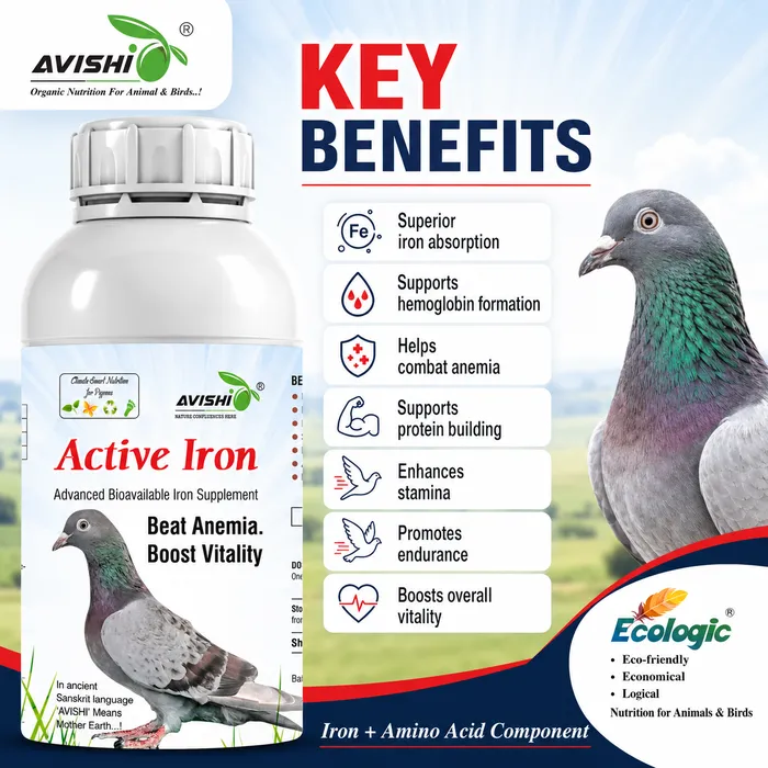 Avishi Active Iron (Pigeon) Clinical Information