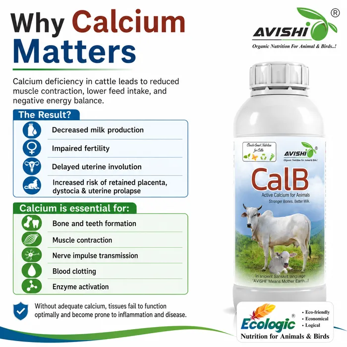 Avishi CalB (Cattle) Clinical Information