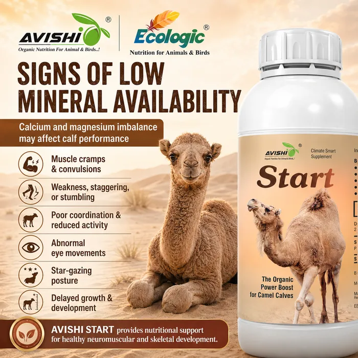 Avishi Camel Range Clinical Information