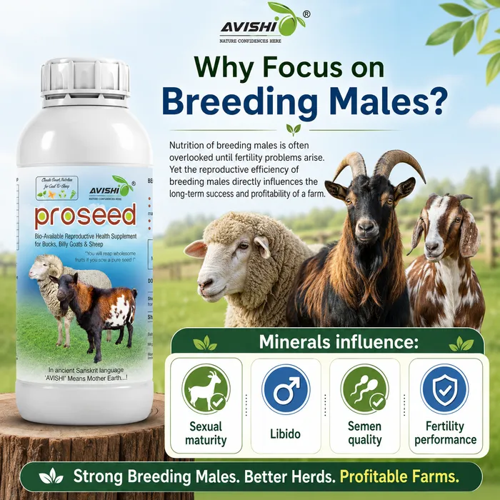Avishi Proseed (Goat & Sheep) Clinical Information