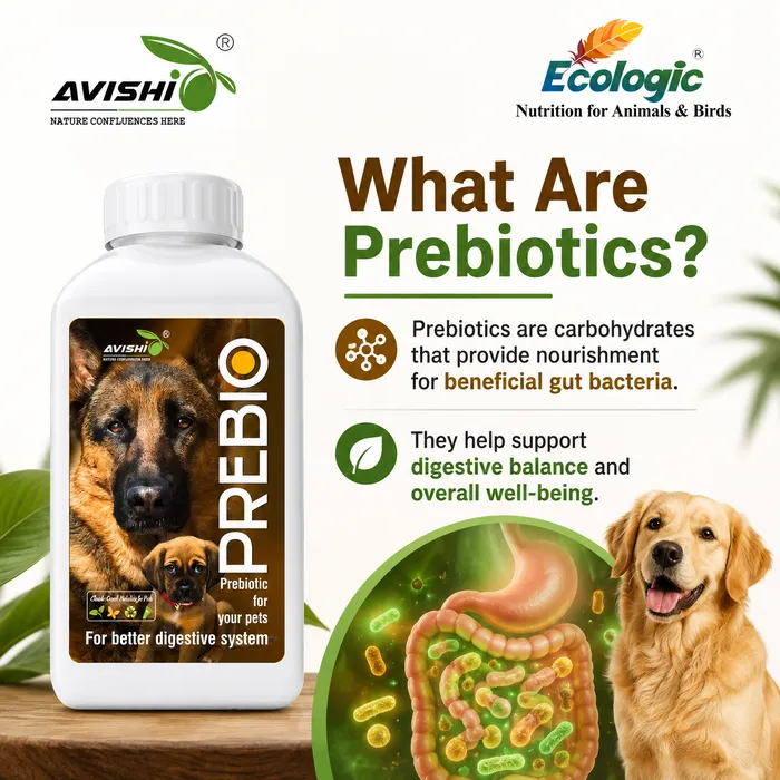 Avishi Prebio (Canine) Clinical Information