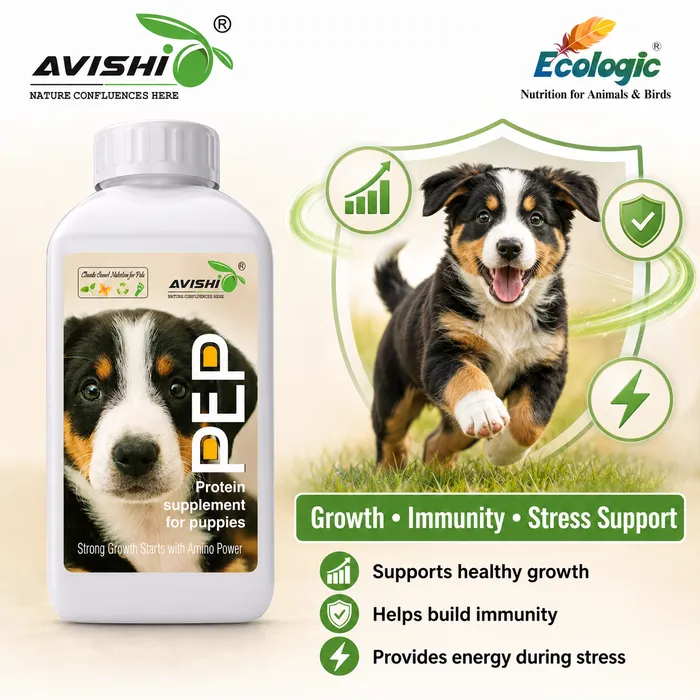 Avishi Pep Clinical Information