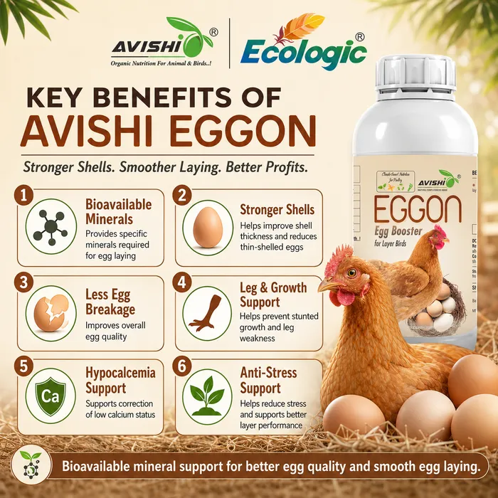 Avishi Eggon Clinical Information