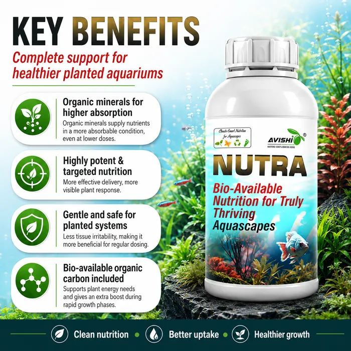 Avishi Nutra Clinical Information