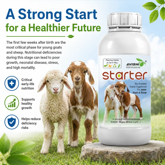 Avishi Starter (Goat & Sheep) Clinical Information
