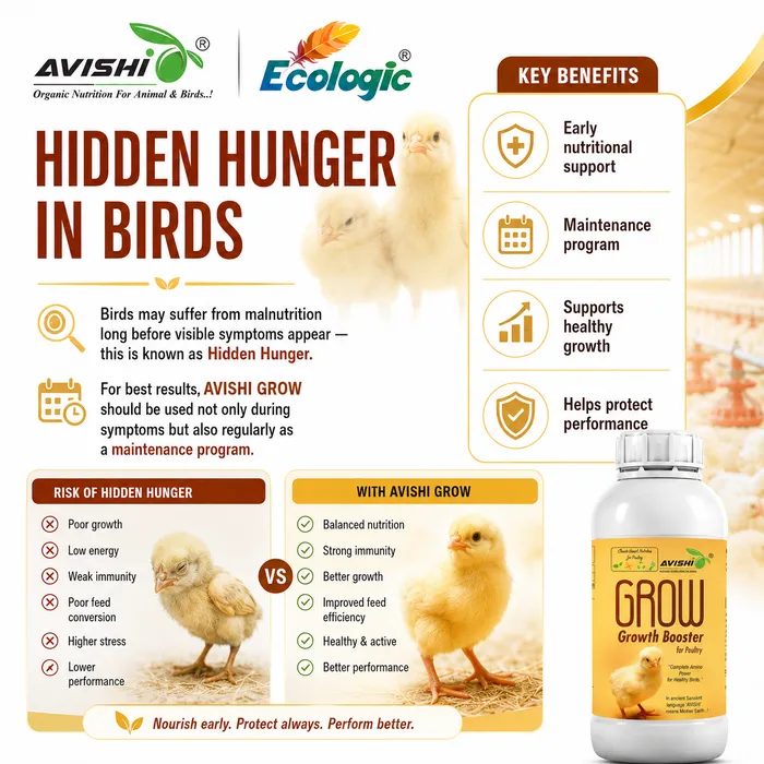 Avishi Grow Clinical Information