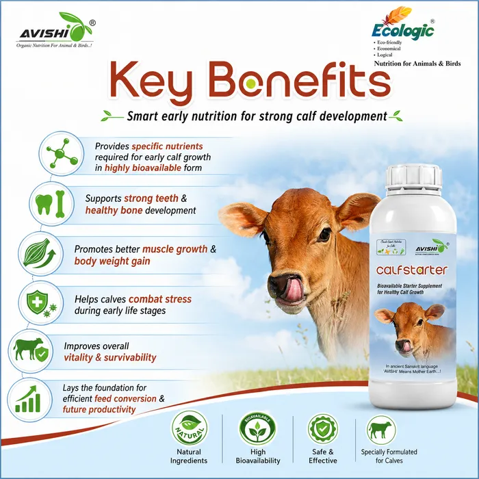 Avishi Calf Starter Clinical Information
