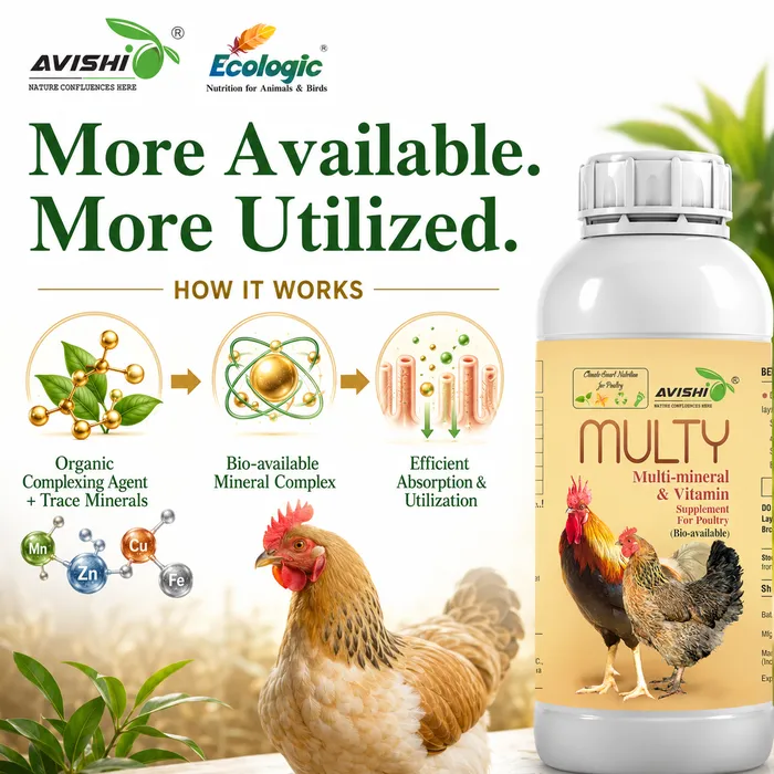 Avishi Multy Clinical Information
