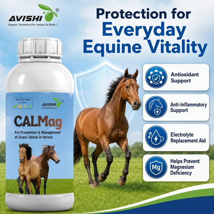 Avishi CalMag (Equine) Clinical Information