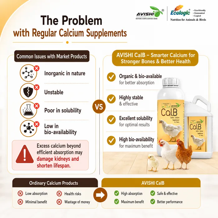 Avishi CalB (Poultry) Clinical Information