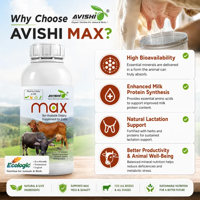 Avishi Max Clinical Information
