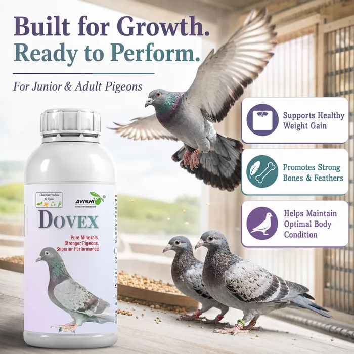 Avishi Dovex Clinical Information