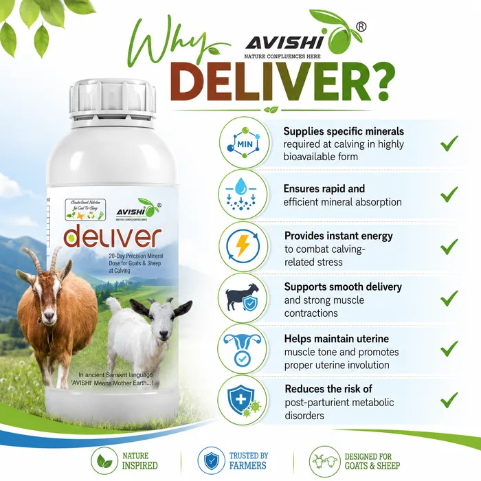 Avishi Deliver (Goat & Sheep) Clinical Information