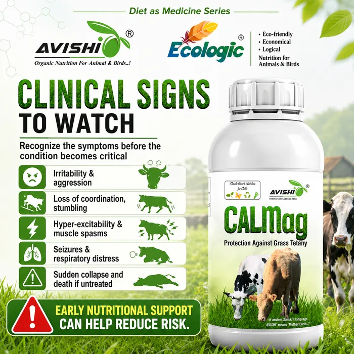 Avishi CalMag (Cattle) Clinical Information