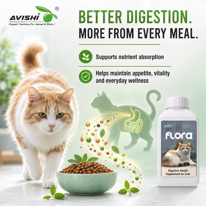 Avishi Flora Clinical Information