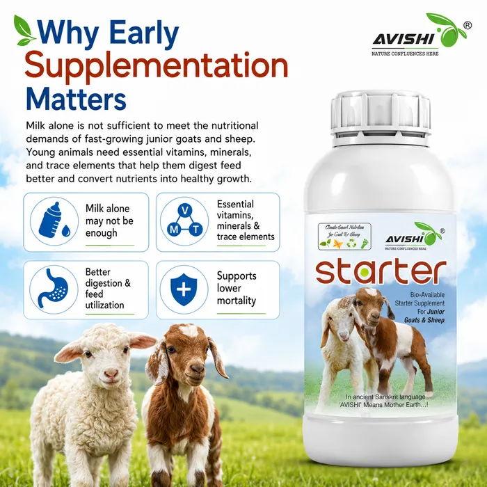 Avishi Starter (Goat & Sheep) Clinical Information