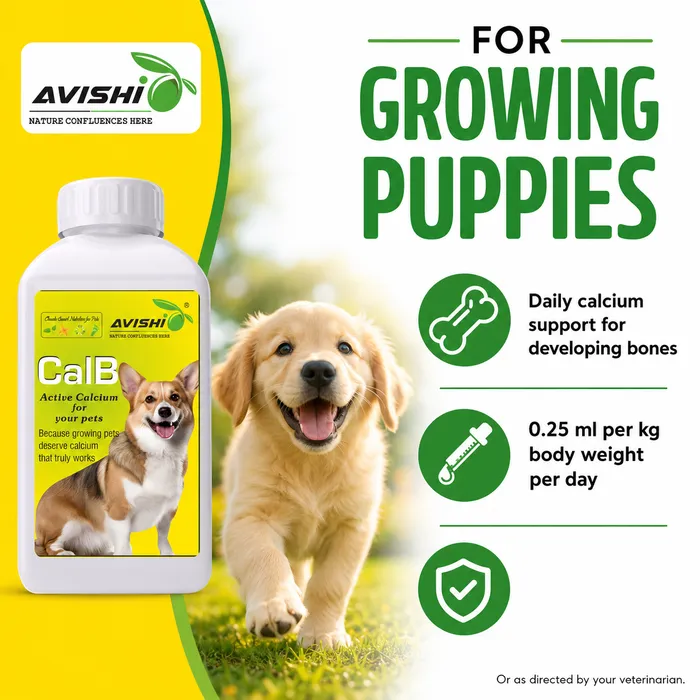 Avishi CalB (Canine) Clinical Information