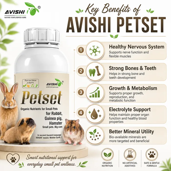 Avishi Petset Clinical Information