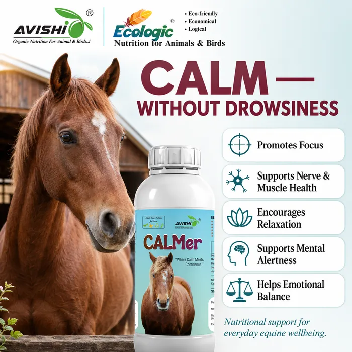 Avishi Calmer (Equine) Clinical Information