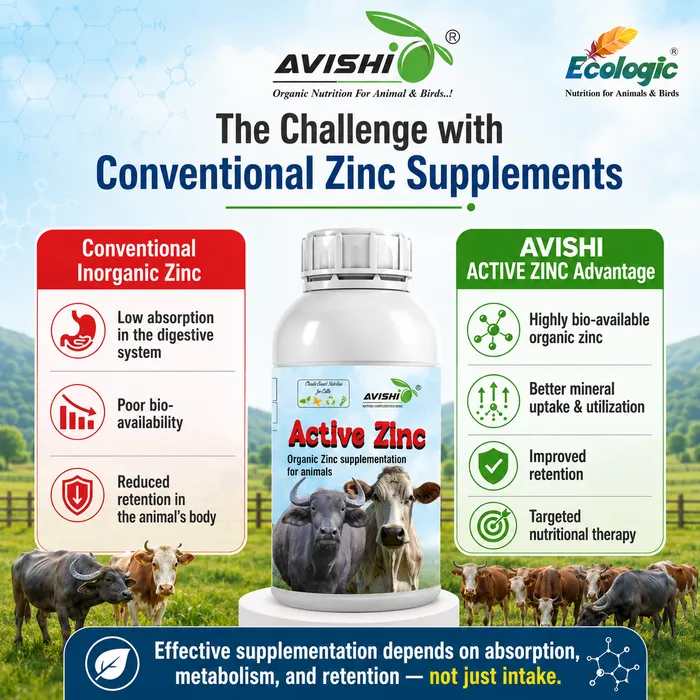 Avishi Active Zinc Clinical Information