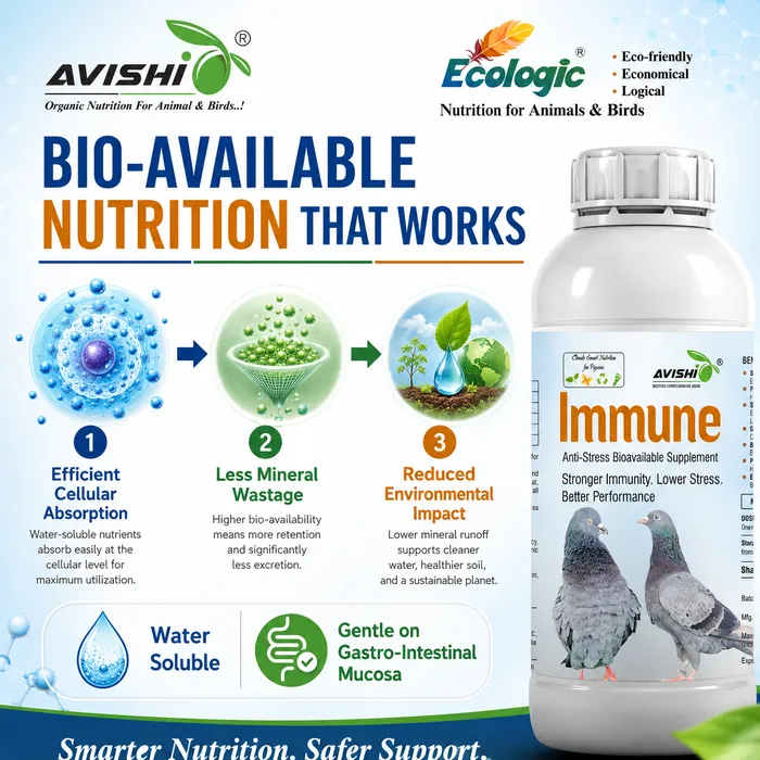 Avishi Immune (Pigeon) Clinical Information