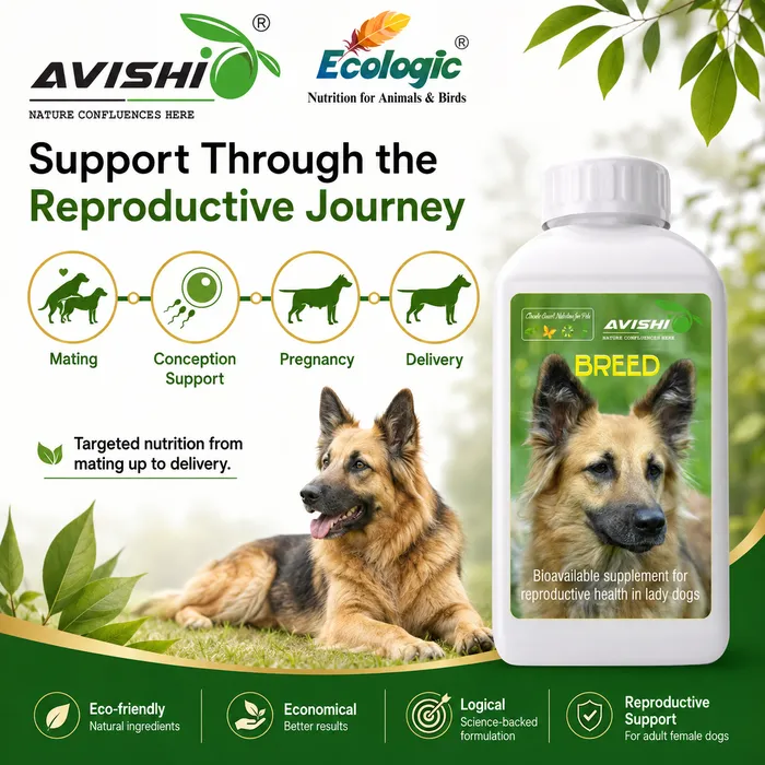 Avishi Breed (Canine) Clinical Information