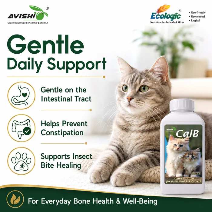 Avishi CalB (Feline) Clinical Information