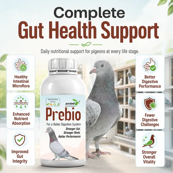 Avishi Prebio (Pigeon) Clinical Information