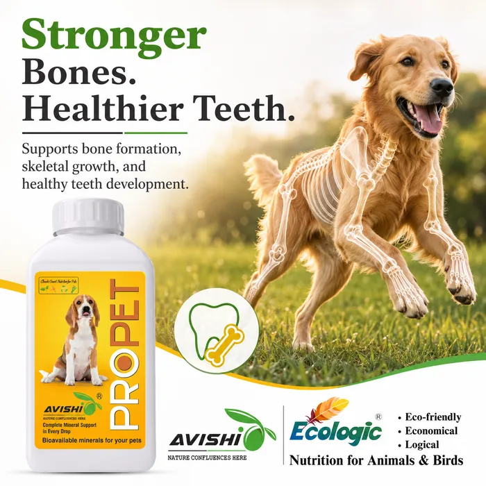 Avishi Propet Clinical Information
