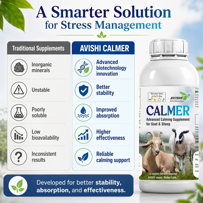 Avishi Calmer (Goat & Sheep) Clinical Information