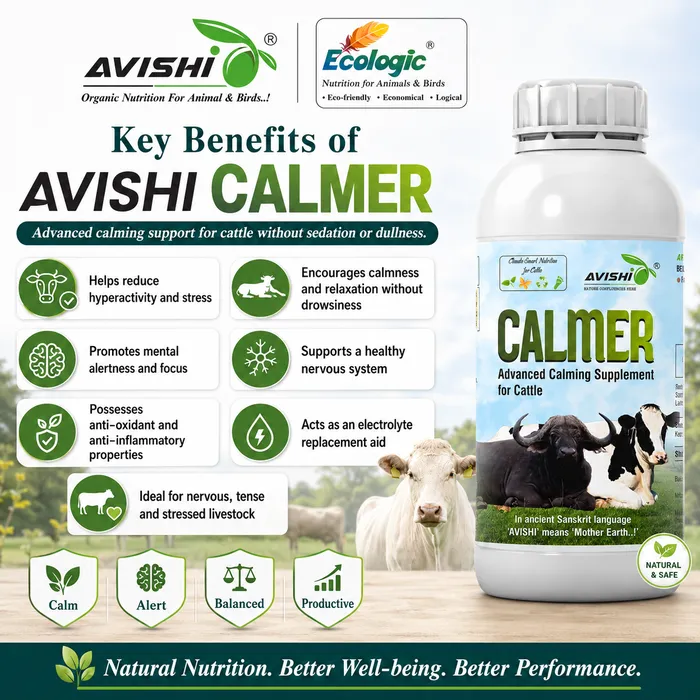 Avishi Calmer (Cattle) Clinical Information