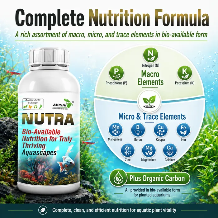 Avishi Nutra Clinical Information