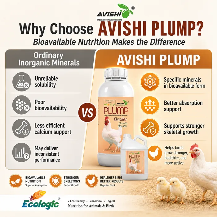 Avishi Plump Clinical Information