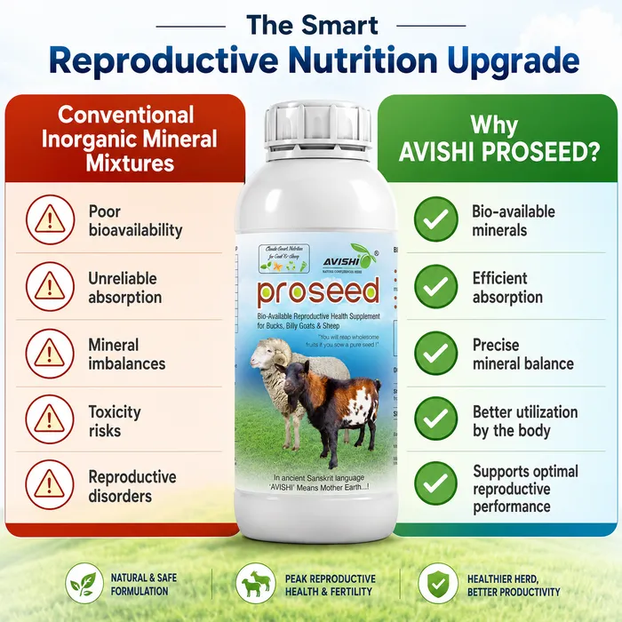 Avishi Proseed (Goat & Sheep) Clinical Information
