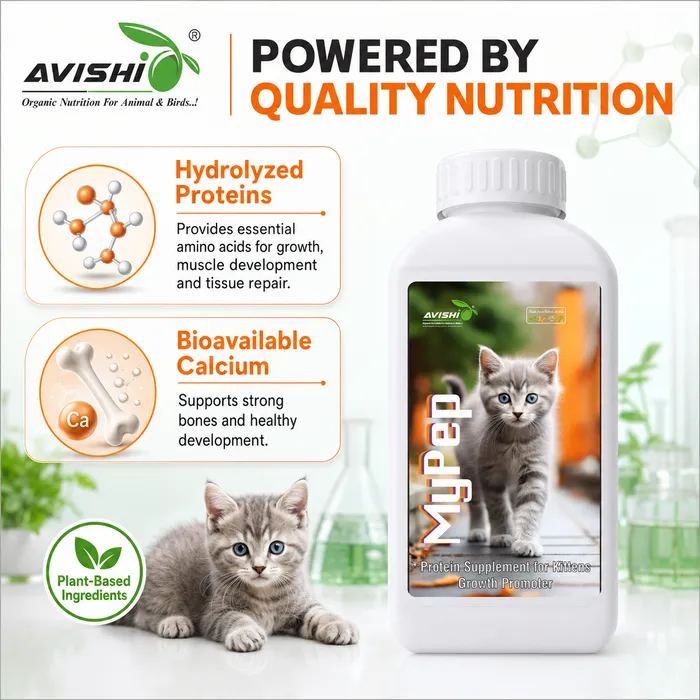 Avishi Mypep Clinical Information