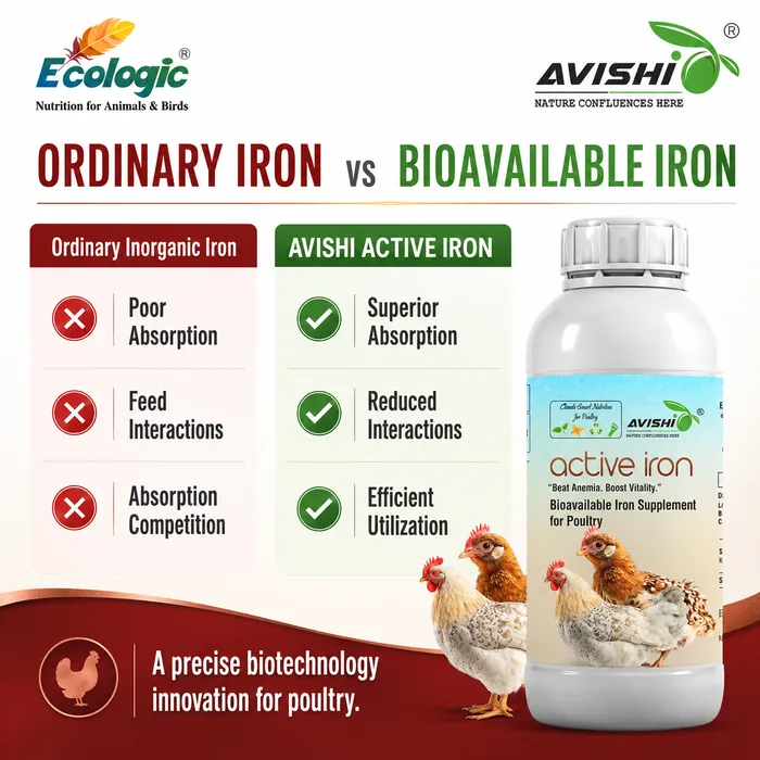 Avishi Active Iron (Poultry) Clinical Information
