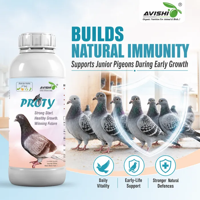 Avishi Proty Clinical Information