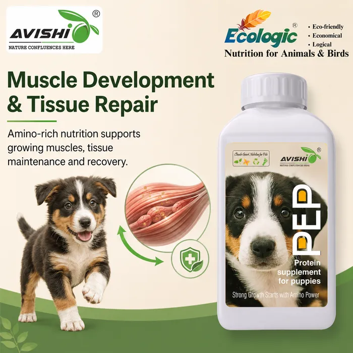 Avishi Pep Clinical Information