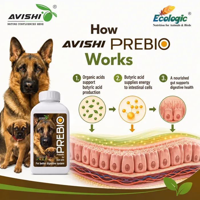 Avishi Prebio (Canine) Clinical Information