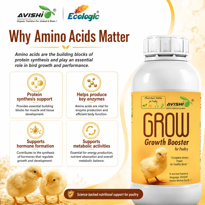 Avishi Grow Clinical Information