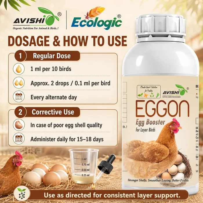 Avishi Eggon Clinical Information
