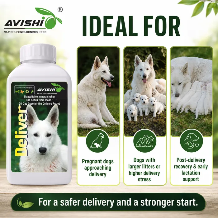 Avishi Deliver (Canine) Clinical Information