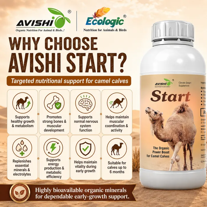 Avishi Camel Range Clinical Information