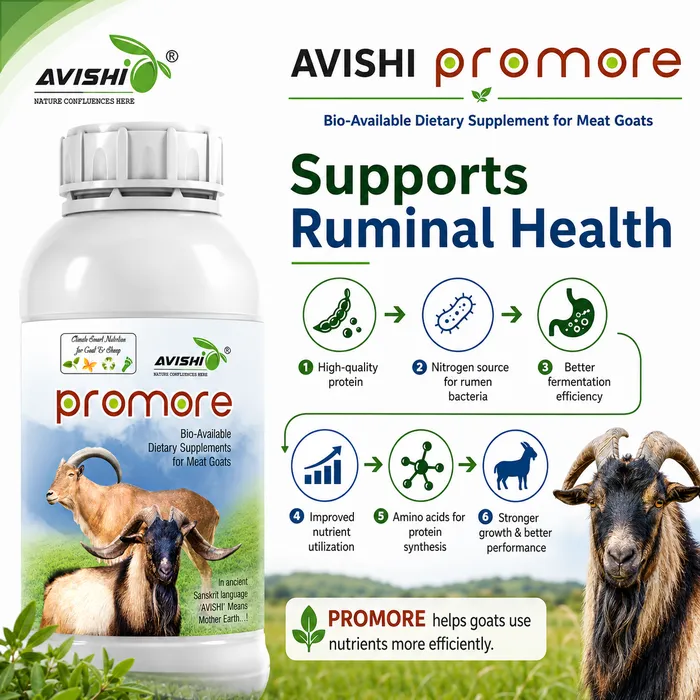 Avishi Promore (Goat & Sheep) Clinical Information