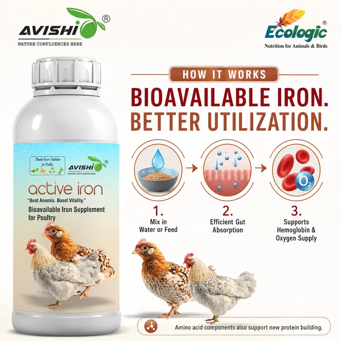 Avishi Active Iron (Poultry) Clinical Information
