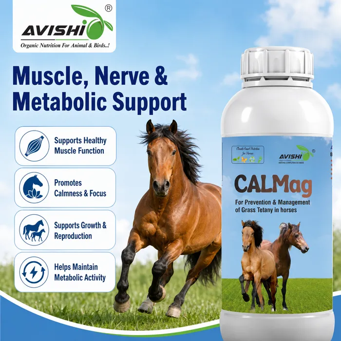 Avishi CalMag (Equine) Clinical Information